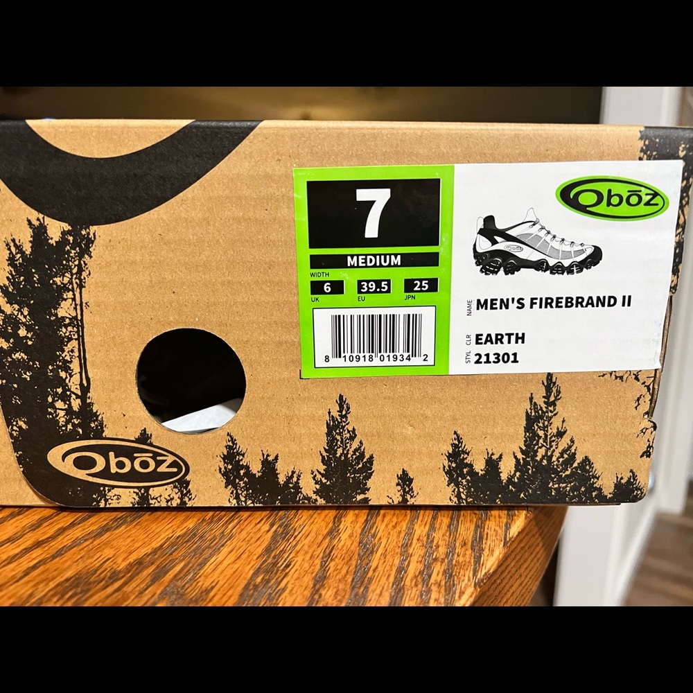 Men's hiking shoes